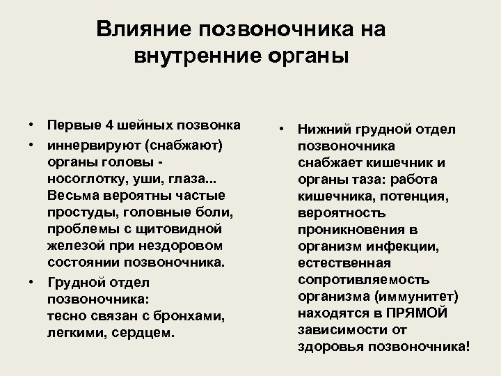 Влияние позвоночника на внутренние органы • Первые 4 шейных позвонка • иннервируют (снабжают) органы