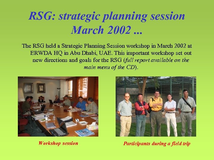 RSG: strategic planning session March 2002. . . The RSG held a Strategic Planning