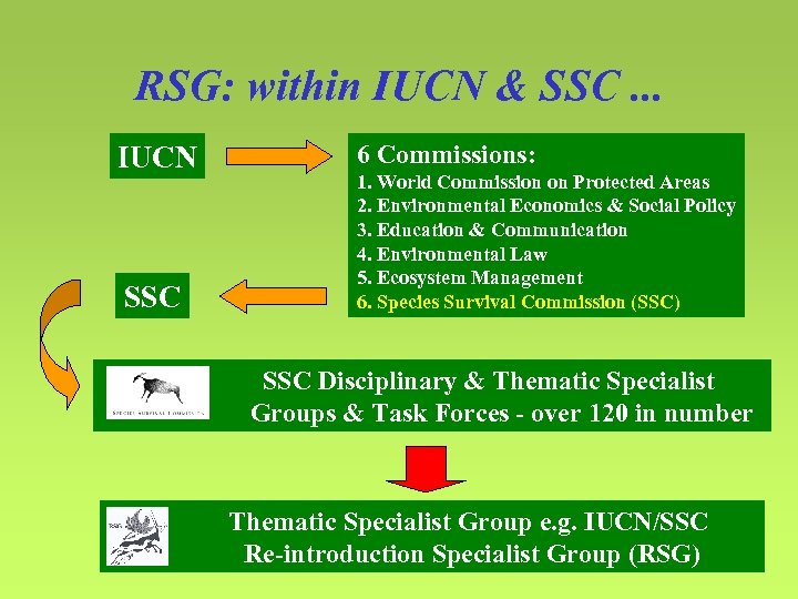 RSG: within IUCN & SSC. . . IUCN SSC 6 Commissions: 1. World Commission