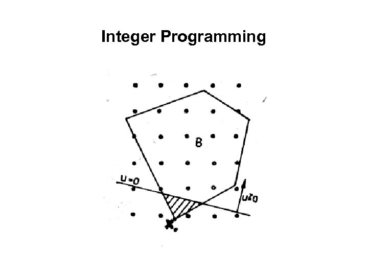 Integer Programming 
