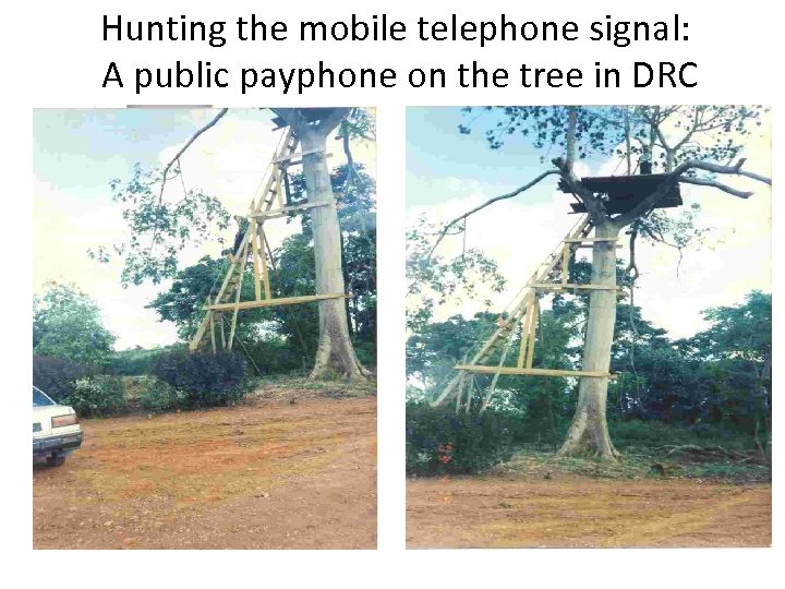 Hunting the mobile telephone signal: A public payphone on the tree in DRC 