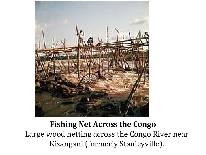 Fishing Net Across the Congo Large wood netting across the Congo River near Kisangani