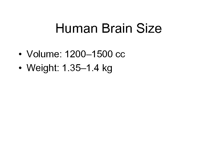Human Brain Size • Volume: 1200– 1500 cc • Weight: 1. 35– 1. 4