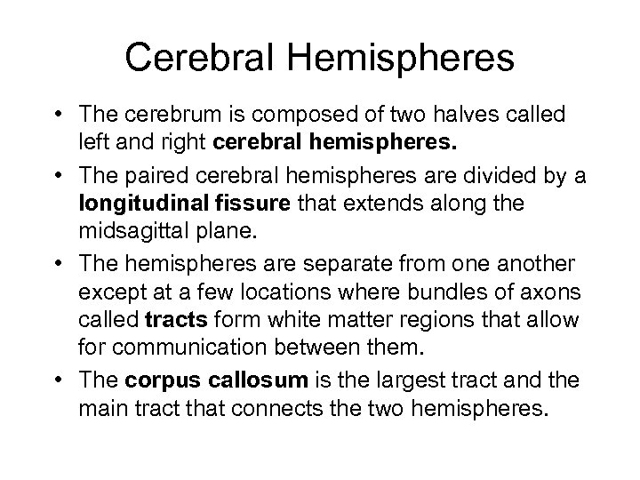 Cerebral Hemispheres • The cerebrum is composed of two halves called left and right