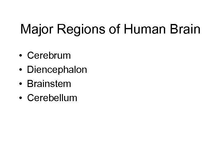 Major Regions of Human Brain • • Cerebrum Diencephalon Brainstem Cerebellum 
