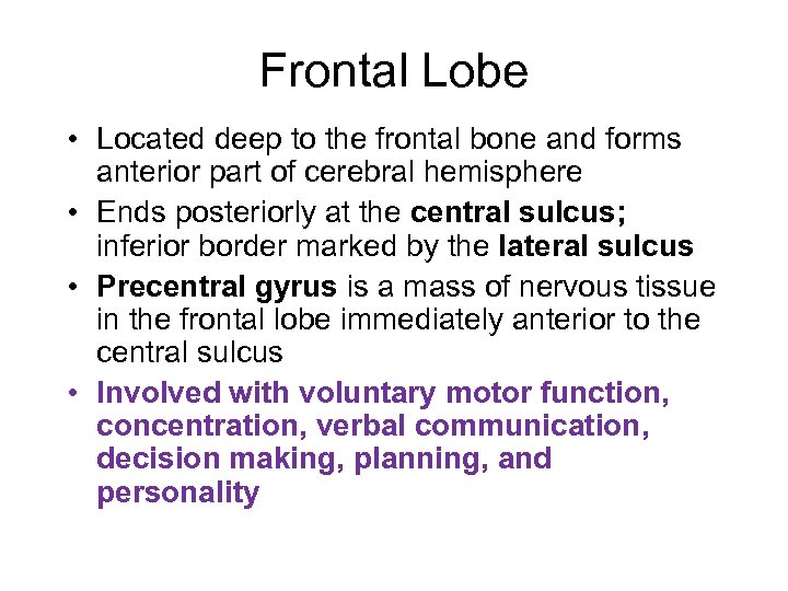 Frontal Lobe • Located deep to the frontal bone and forms anterior part of