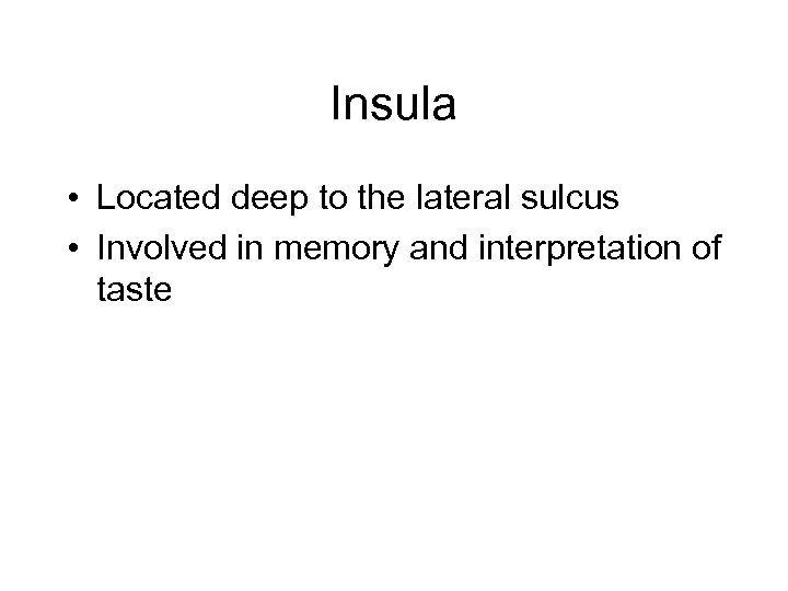 Insula • Located deep to the lateral sulcus • Involved in memory and interpretation