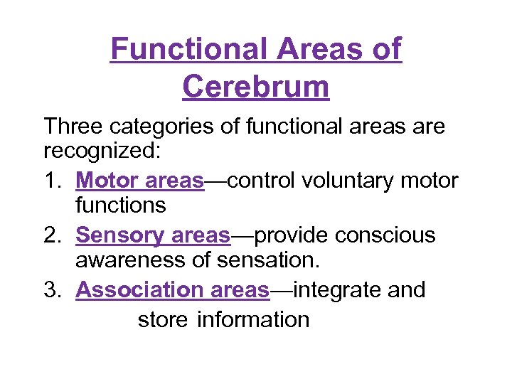 Functional Areas of Cerebrum Three categories of functional areas are recognized: 1. Motor areas—control