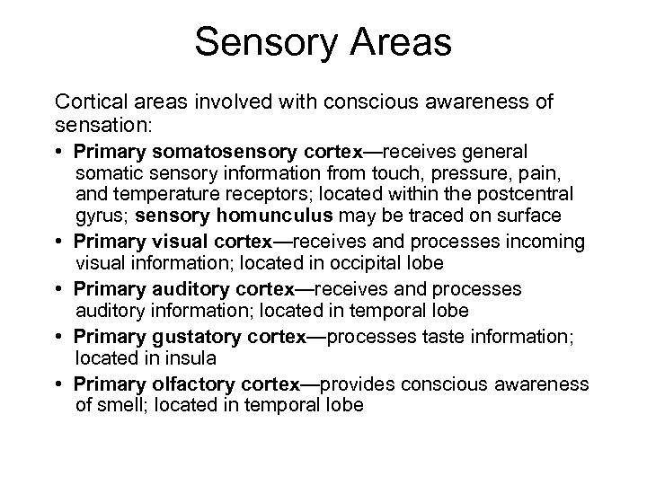 Sensory Areas Cortical areas involved with conscious awareness of sensation: • Primary somatosensory cortex—receives