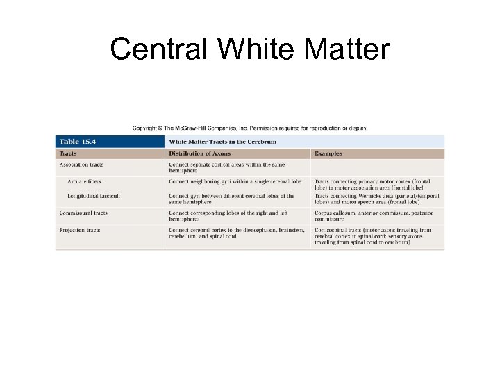 Central White Matter 