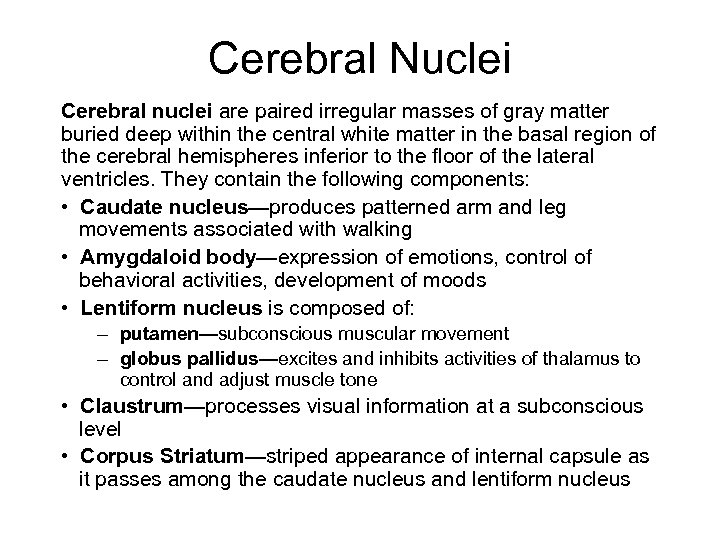 Cerebral Nuclei Cerebral nuclei are paired irregular masses of gray matter buried deep within