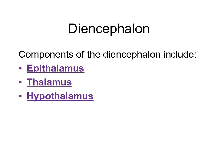 Diencephalon Components of the diencephalon include: • Epithalamus • Thalamus • Hypothalamus 