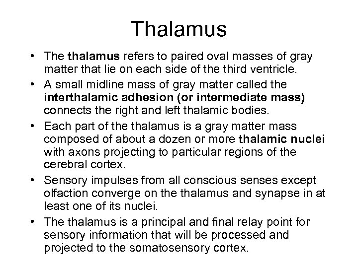 Thalamus • The thalamus refers to paired oval masses of gray matter that lie