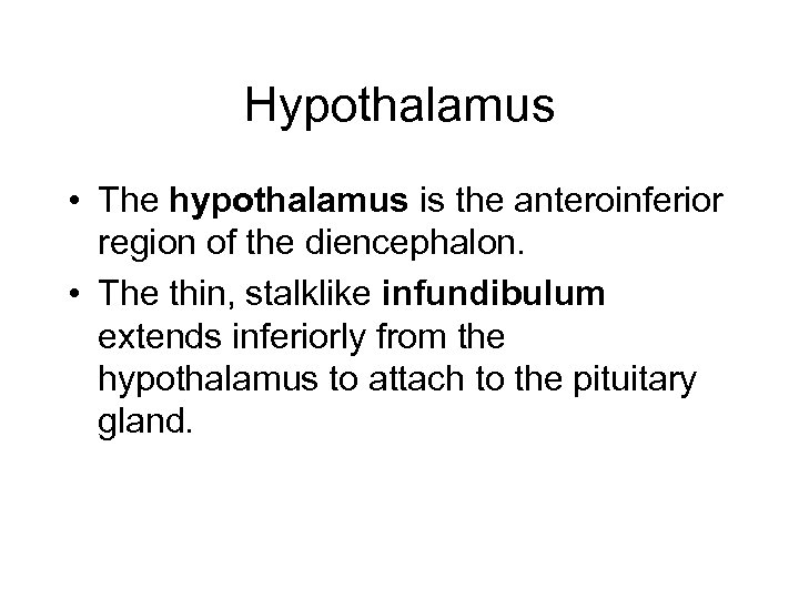 Hypothalamus • The hypothalamus is the anteroinferior region of the diencephalon. • The thin,