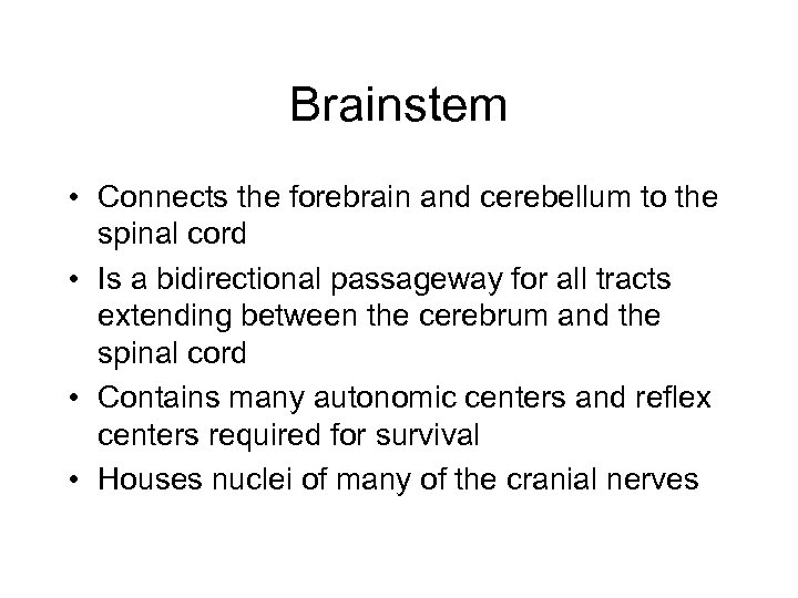 Brainstem • Connects the forebrain and cerebellum to the spinal cord • Is a