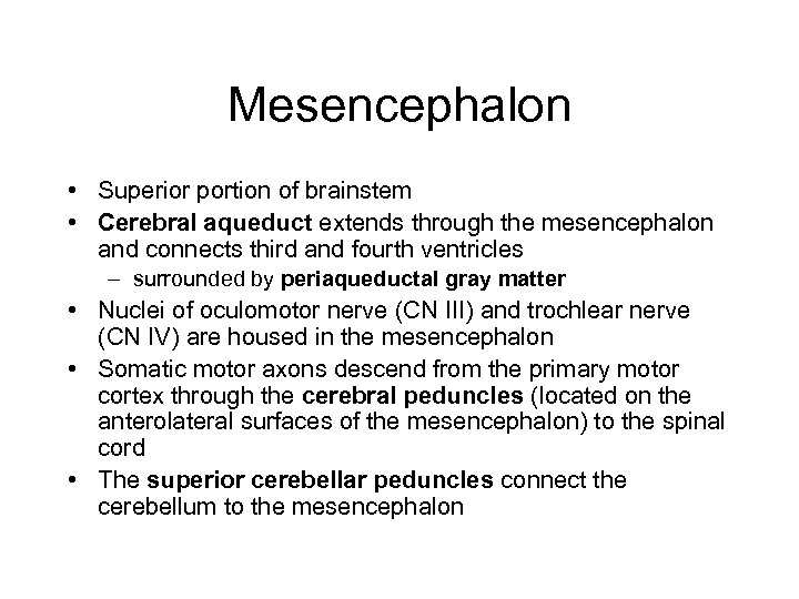 Mesencephalon • Superior portion of brainstem • Cerebral aqueduct extends through the mesencephalon and