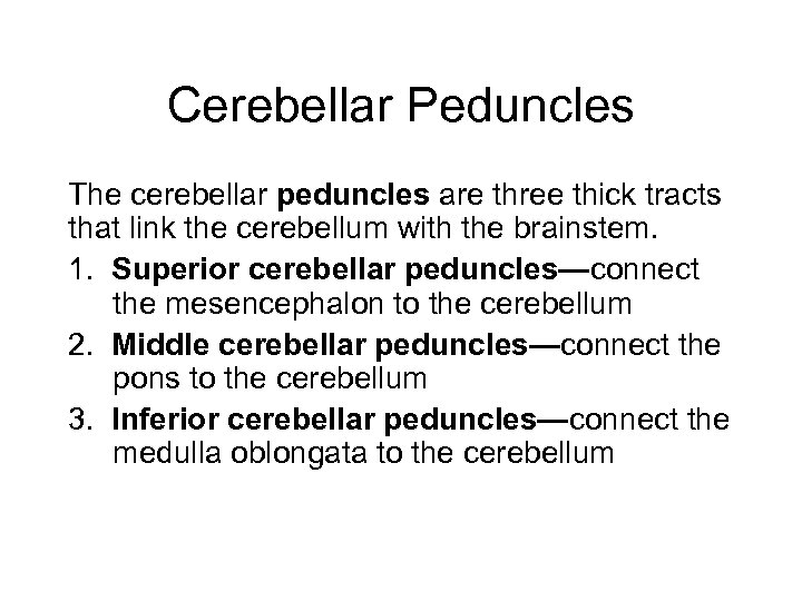 Cerebellar Peduncles The cerebellar peduncles are three thick tracts that link the cerebellum with