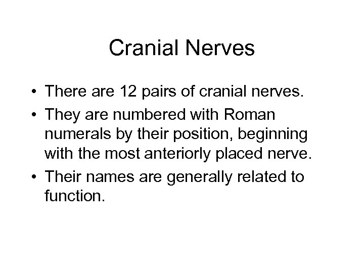 Cranial Nerves • There are 12 pairs of cranial nerves. • They are numbered