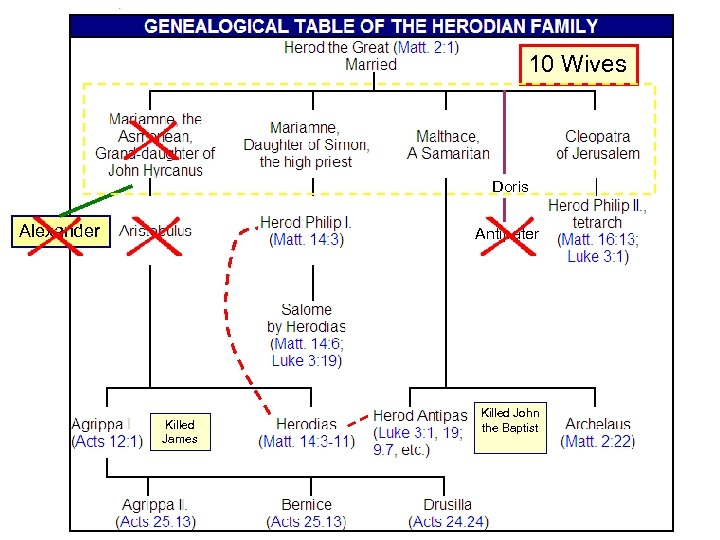 10 Wives Doris Alexander Antipater Killed James Killed John the Baptist 