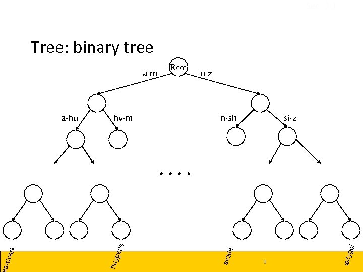 Sec. 3. 1 Tree: binary tree n-z si-z ot n-sh 9 zyg gen s