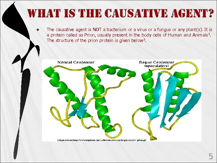 WHAt is t. He c. Aus. Ati. Ve AGent? v The causative agent is