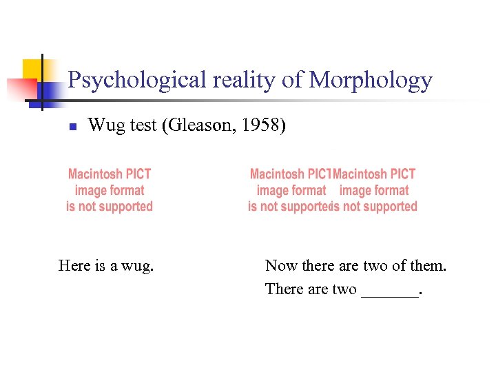 Psychological reality of Morphology n Wug test (Gleason, 1958) Here is a wug. Now