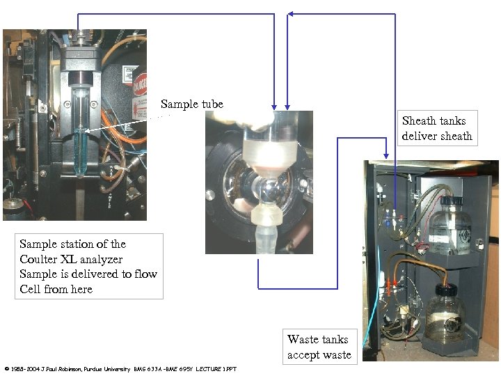 Sample tube Sheath tanks deliver sheath Sample station of the Coulter XL analyzer Sample