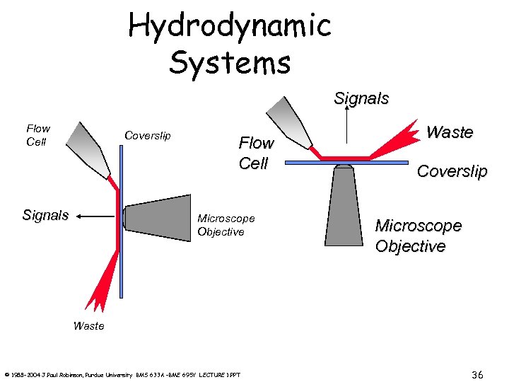 Hydrodynamic Systems Signals Flow Cell Coverslip Signals Flow Cell Microscope Objective Waste Coverslip Microscope