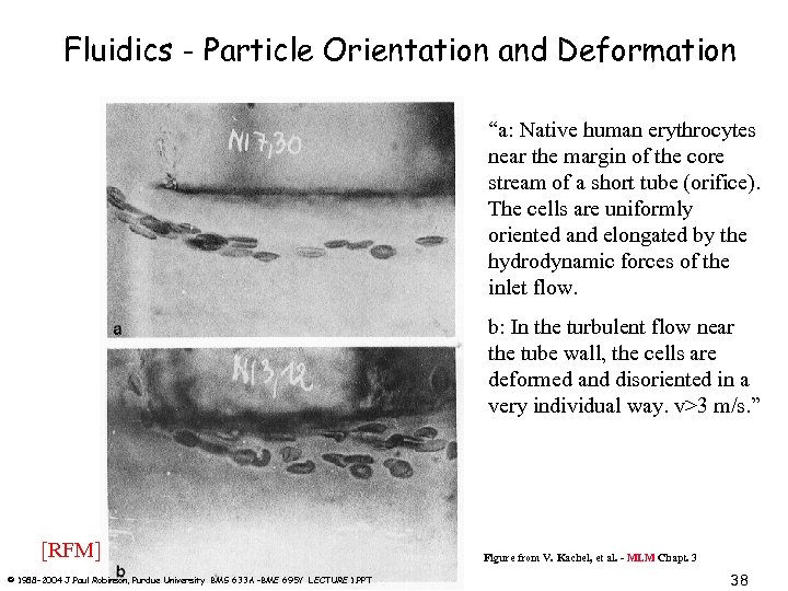 Fluidics - Particle Orientation and Deformation “a: Native human erythrocytes near the margin of