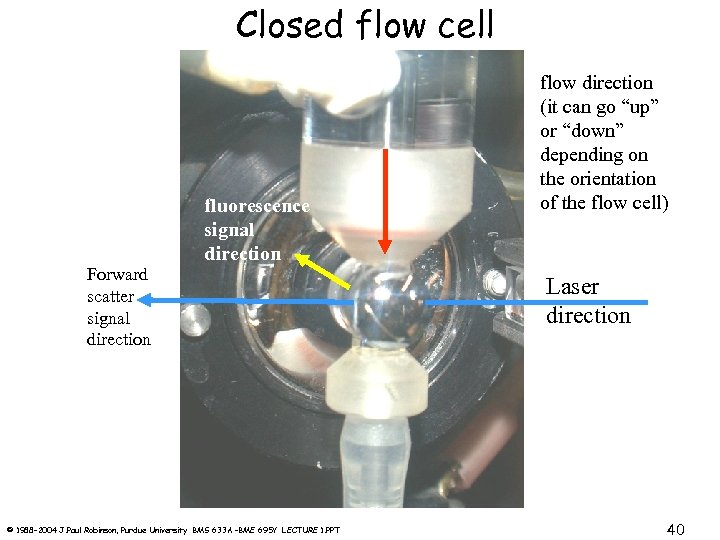 Closed flow cell Forward scatter signal direction fluorescence signal direction © 1988 -2004 J.