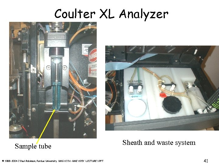 Coulter XL Analyzer Sample tube © 1988 -2004 J. Paul Robinson, Purdue University BMS