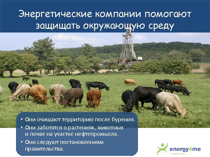 Энергетические компании помогают защищать окружающую среду • Они очищают территорию после бурения. • Они