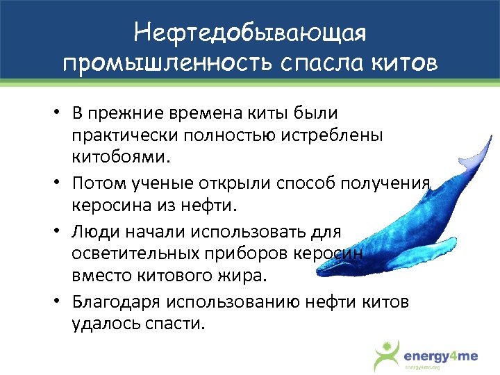 Нефтедобывающая промышленность спасла китов • В прежние времена киты были практически полностью истреблены китобоями.