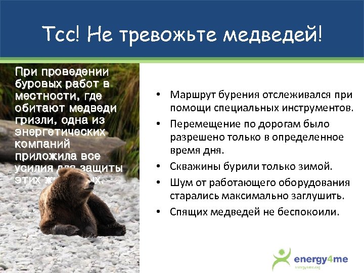 Тсс! Не тревожьте медведей! При проведении буровых работ в местности, где обитают медведи гризли,