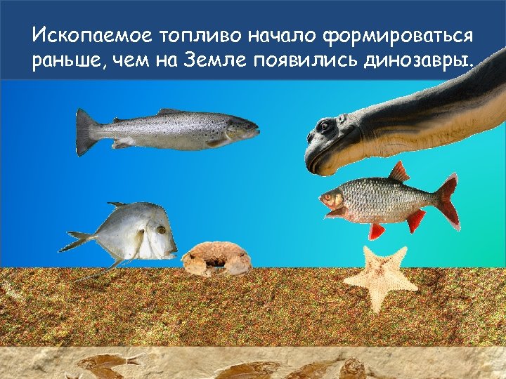 Ископаемое топливо начало формироваться раньше, чем на Земле появились динозавры. 