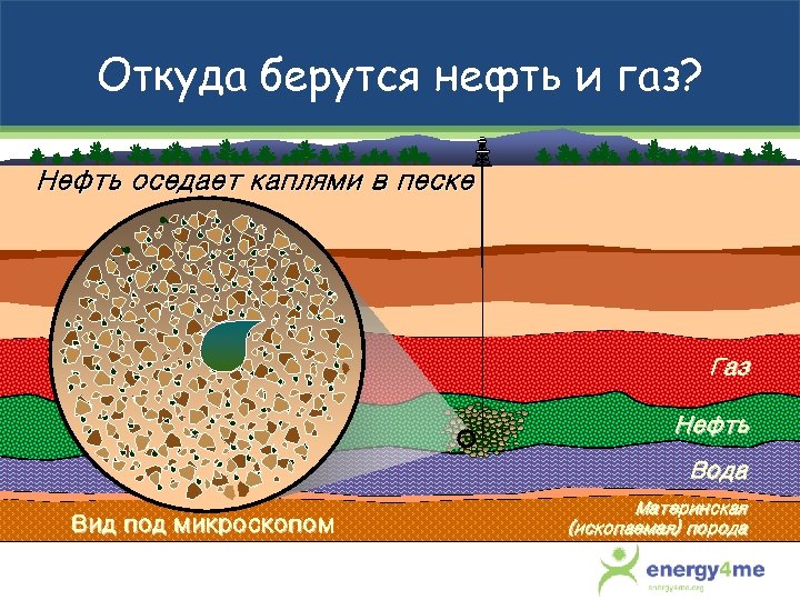 Откуда берутся нефть и газ? Нефть оседает каплями в песке Газ Нефть Вода Вид