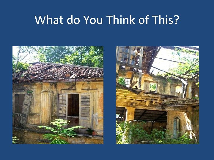 What do You Think of This? 