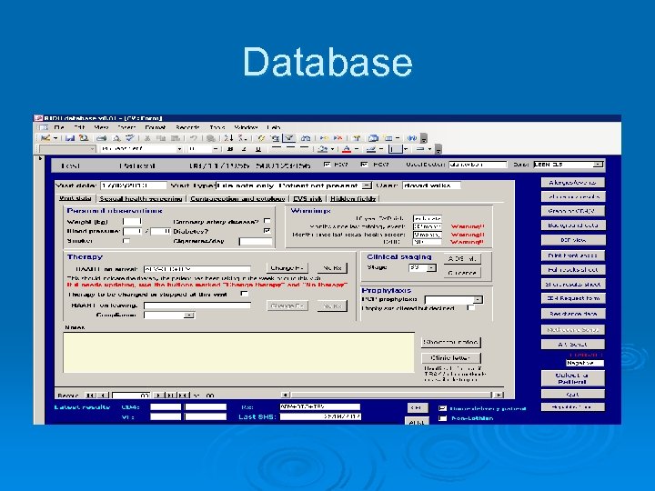 Database 