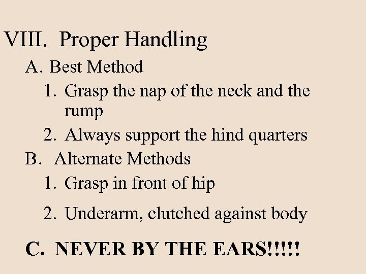 VIII. Proper Handling A. Best Method 1. Grasp the nap of the neck and