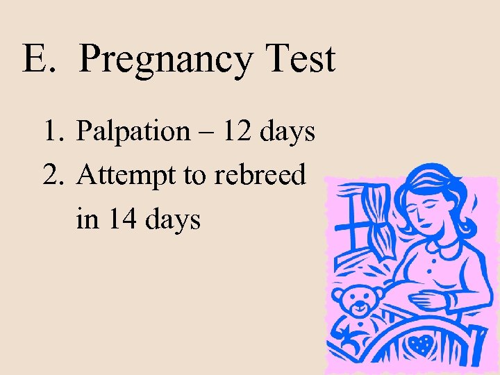 E. Pregnancy Test 1. Palpation – 12 days 2. Attempt to rebreed in 14