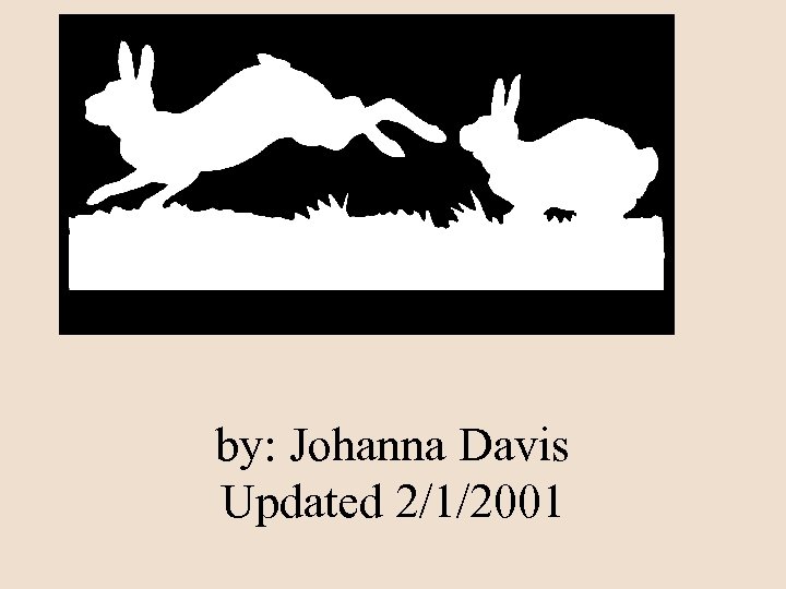 by: Johanna Davis Updated 2/1/2001 