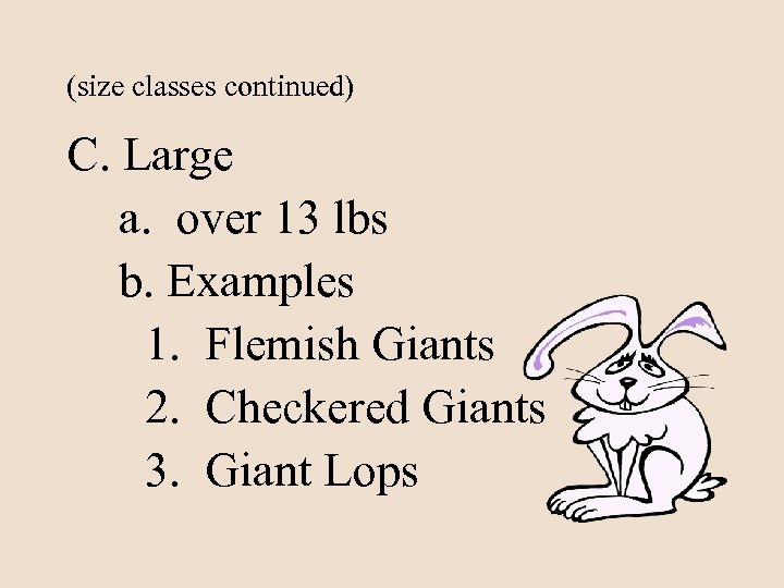 (size classes continued) C. Large a. over 13 lbs b. Examples 1. Flemish Giants