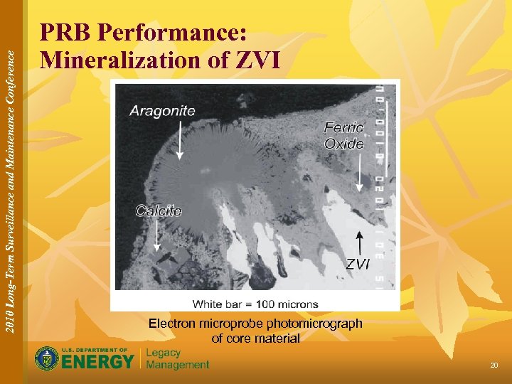 2010 Long-Term Surveillance and Maintenance Conference PRB Performance: Mineralization of ZVI Electron microprobe photomicrograph