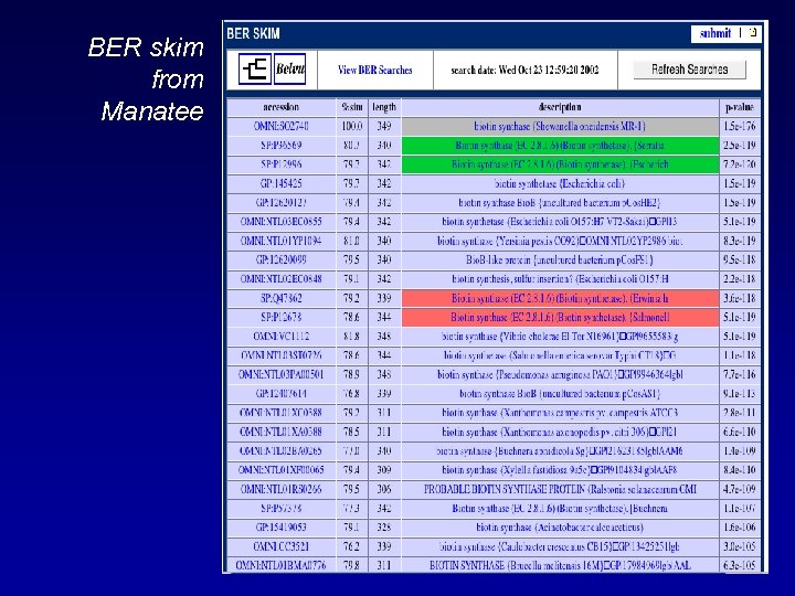 BER skim from Manatee 