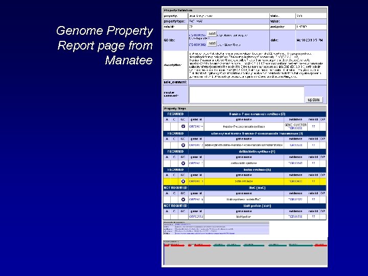 Genome Property Report page from Manatee 