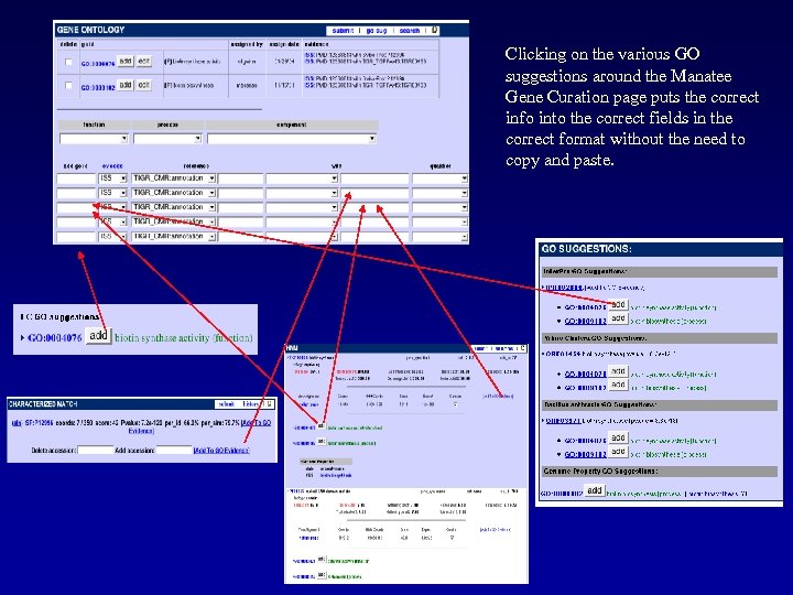 Clicking on the various GO suggestions around the Manatee Gene Curation page puts the