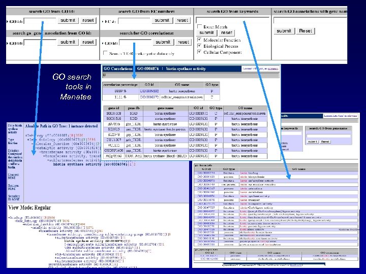 GO search tools in Manatee 