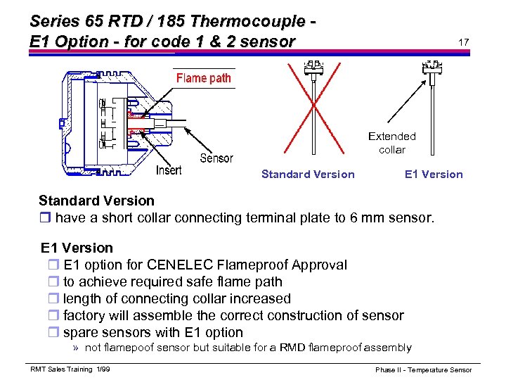 Series 65 RTD / 185 Thermocouple E 1 Option - for code 1 &