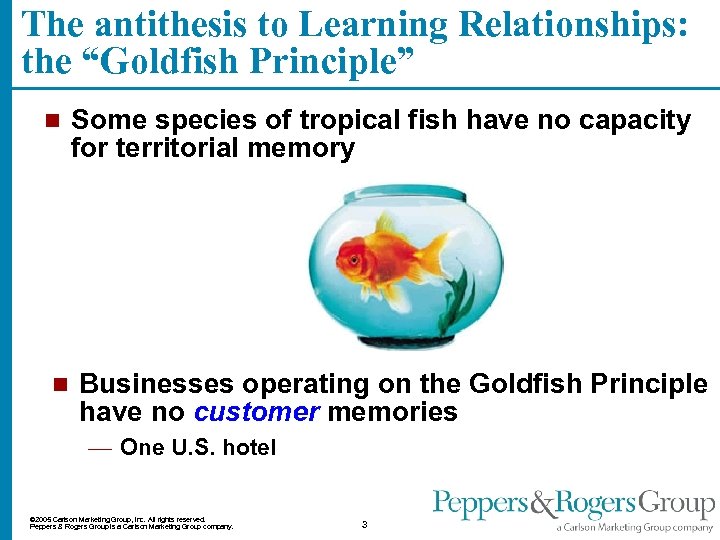 The antithesis to Learning Relationships: the “Goldfish Principle” n n Some species of tropical