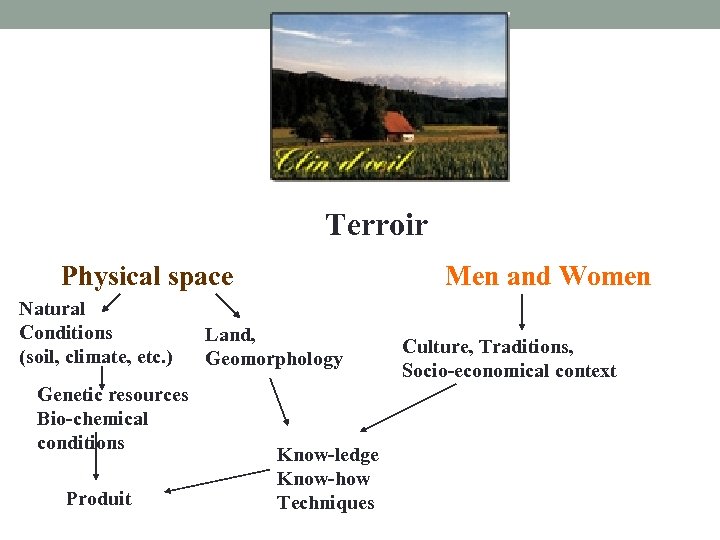 Terroir Physical space Natural Conditions (soil, climate, etc. ) Genetic resources Bio-chemical conditions Produit